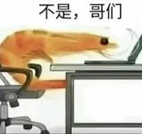 image-20230906204934216